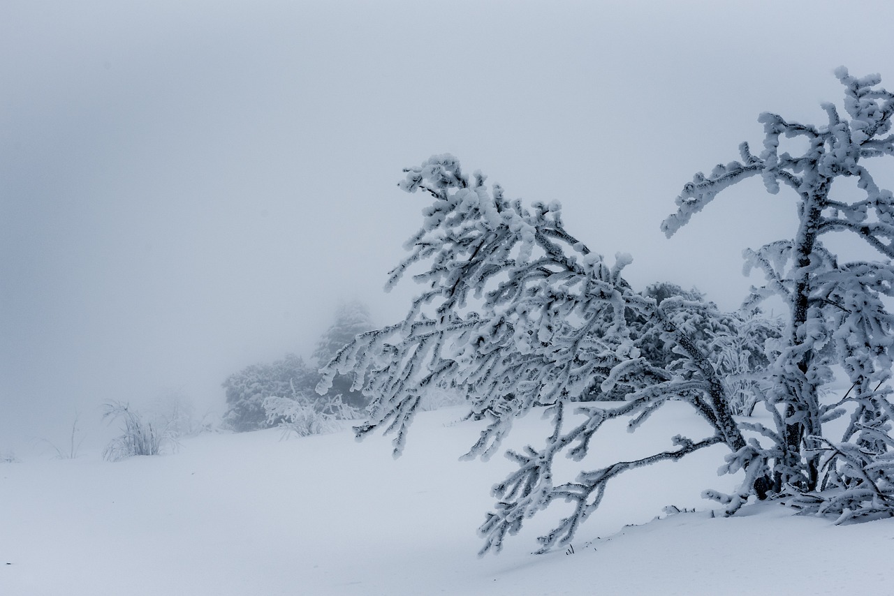A snowstorm