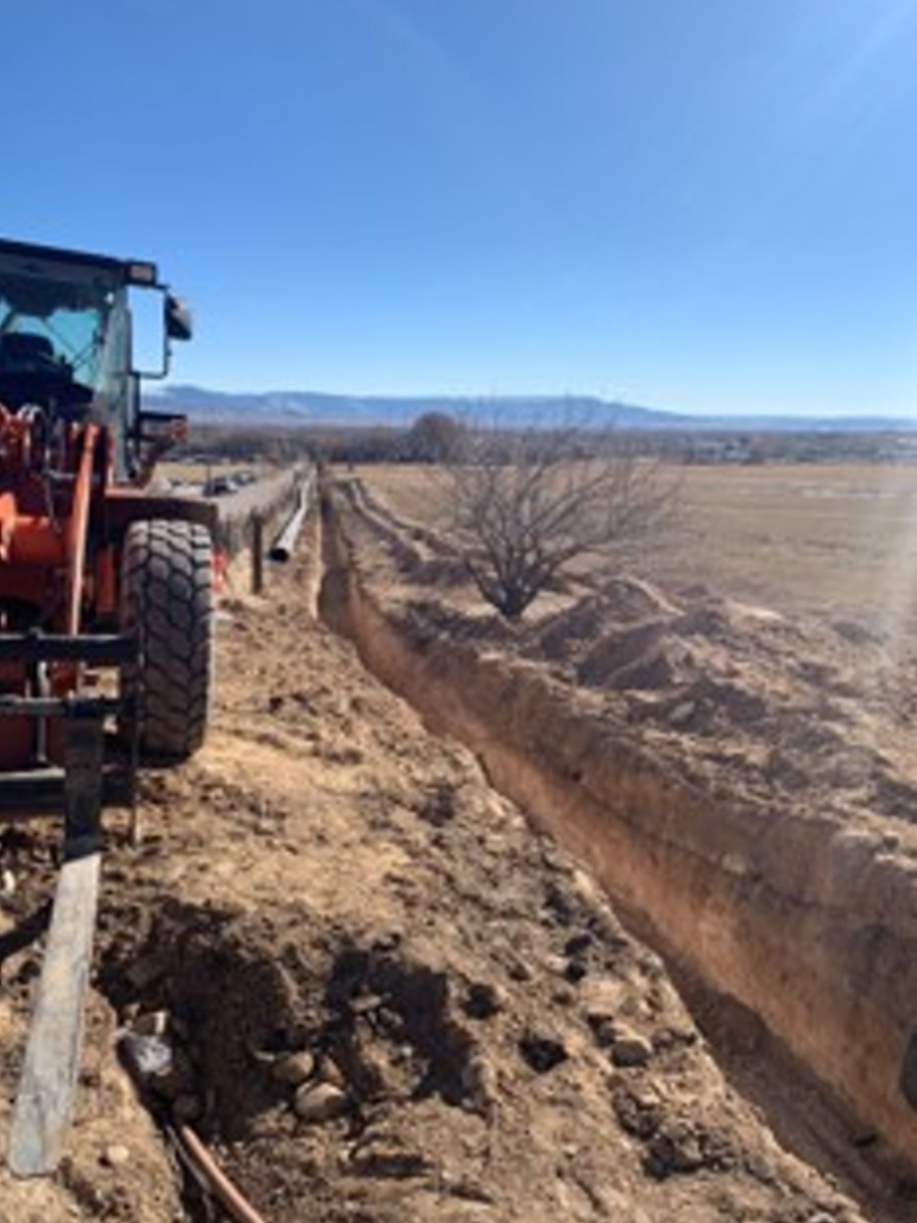 salinity project