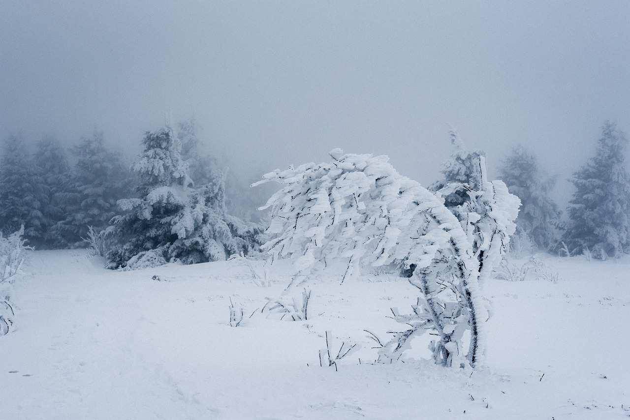 Blizzards deliver much needed snowpack to Colorado River Basin