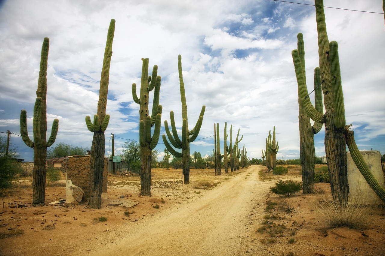 Arizona desert - drought expected to continue