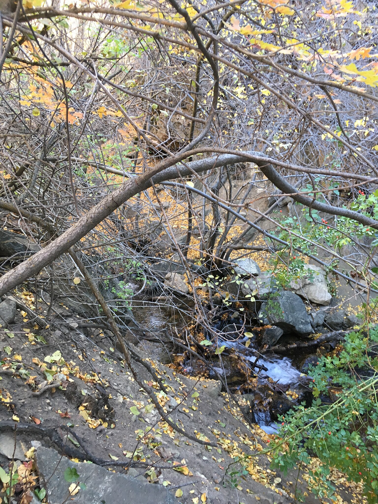 Utah water outlook improves
