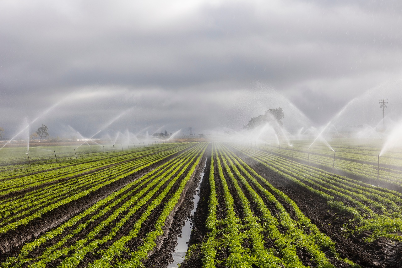 California takes first-ever action against groundwater overuse in a major agricultural region, threatening small farmers and communities while setting a precedent for how the state will handle the crisis statewide.
