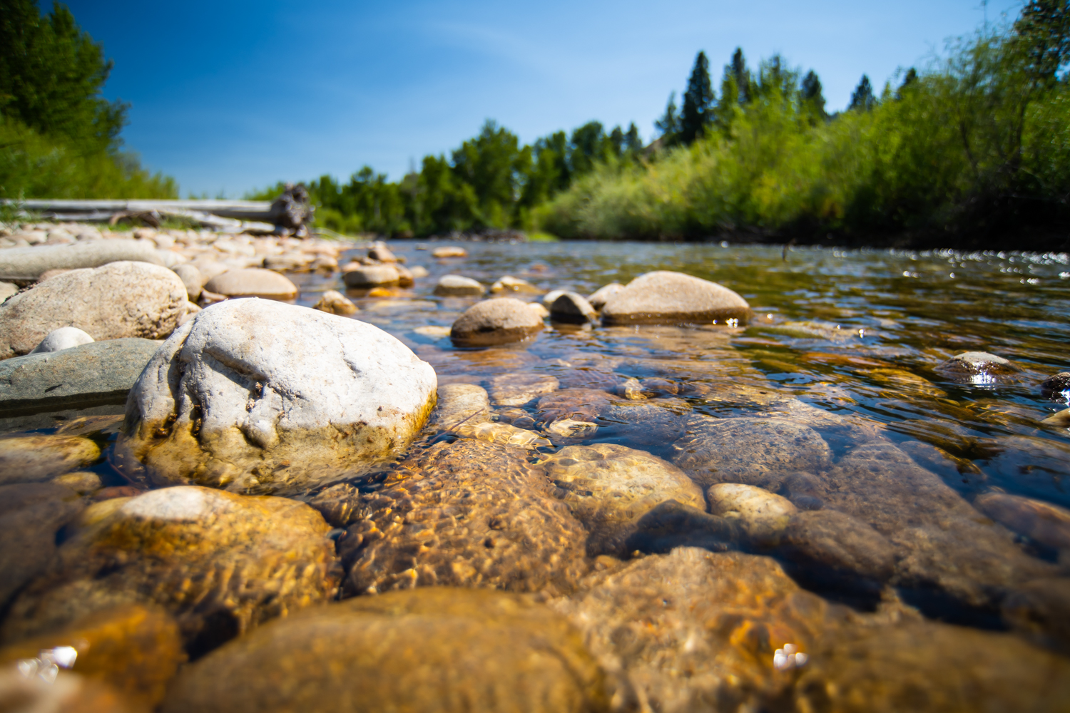 Federal funding for water rights