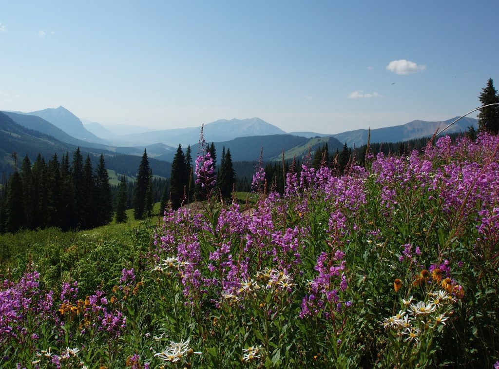 Colorado Scenery