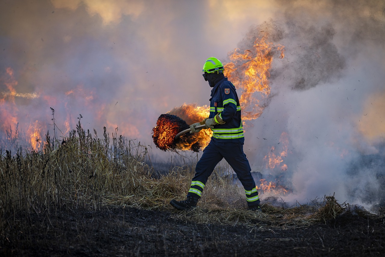 Wildfires in Arizona, New Mexico, and California are being fought by over 2,330 personnel, with June's wildfire potential above normal in Arizona and New Mexico.