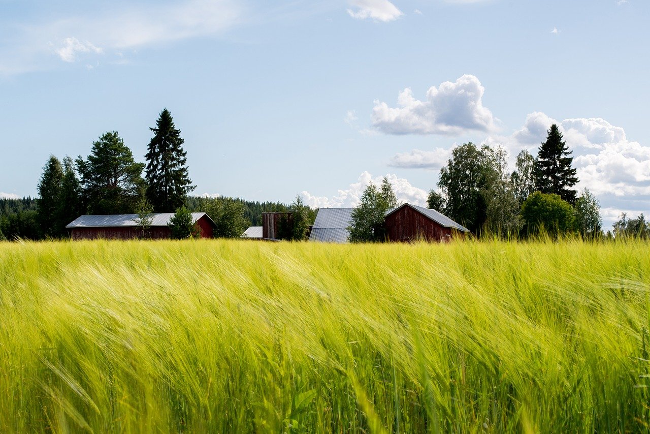 Farm groups and a diverse coalition from across the country demand urgent action from Congress to pass a new farm bill addressing critical agricultural and environmental challenges.