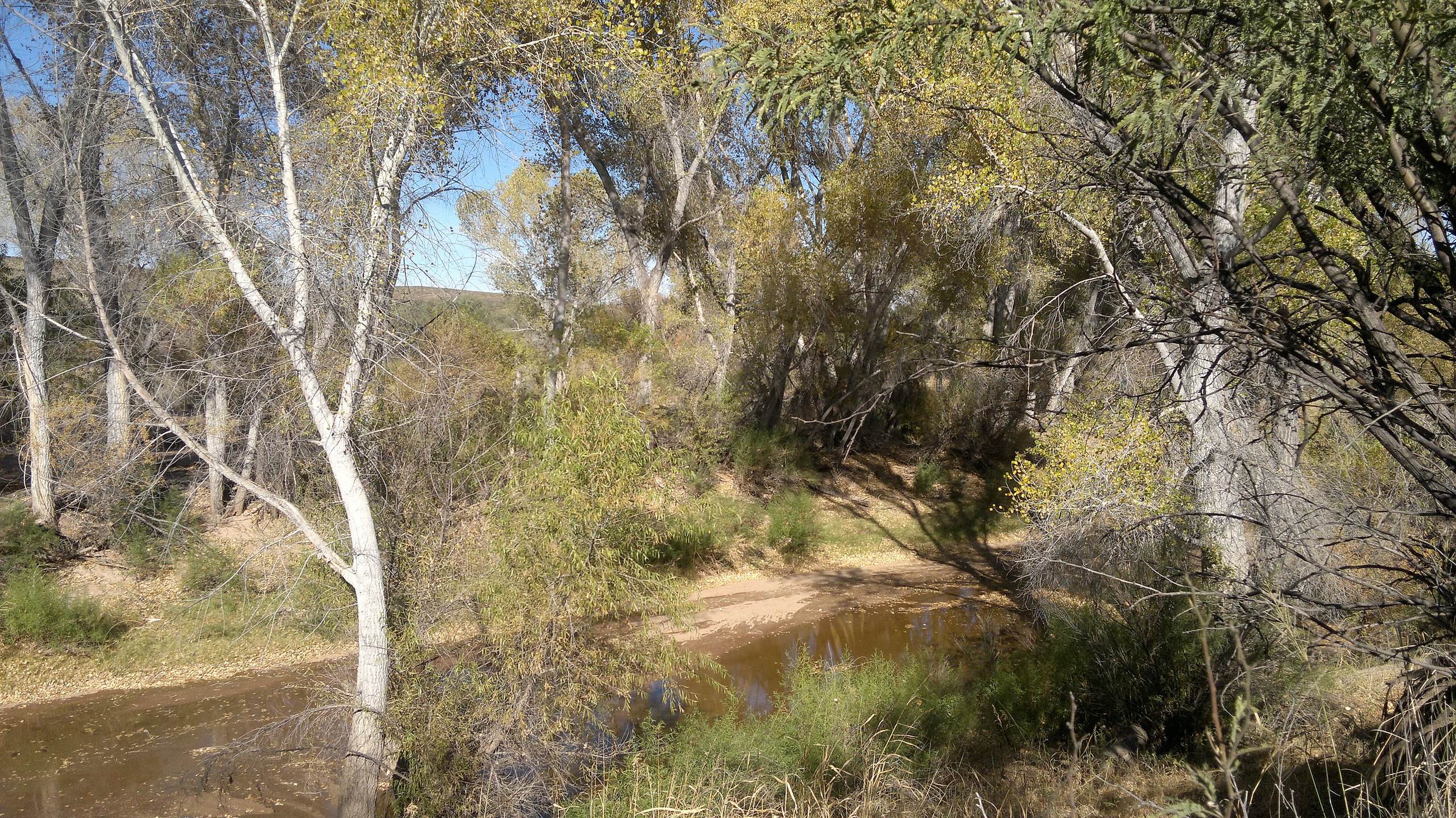 The San Pedro River
