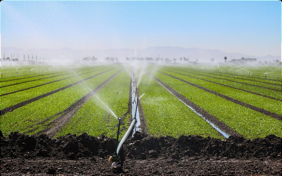 The Bureau of Reclamation approves the Imperial Irrigation District's Colorado River conservation plan, securing up to 300,000 acre-feet annually to support Lake Mead amid ongoing drought.