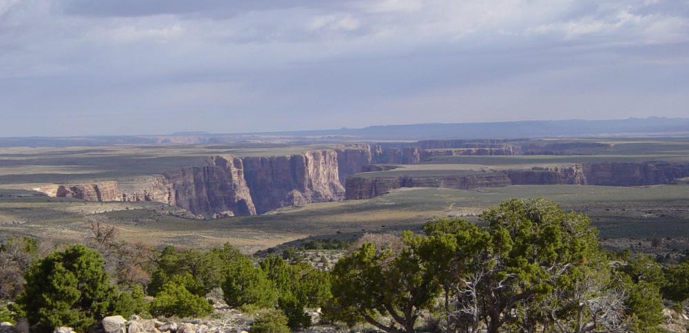 A canyon along the Little Colorado River