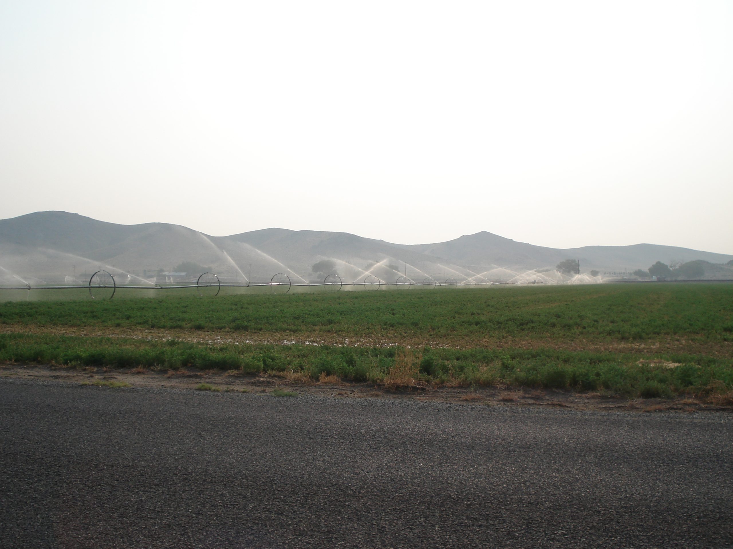Nevada aims to retire over 15,000 acre-feet of groundwater with a $25M program funded by pandemic relief that pays farmers to stop pumping.