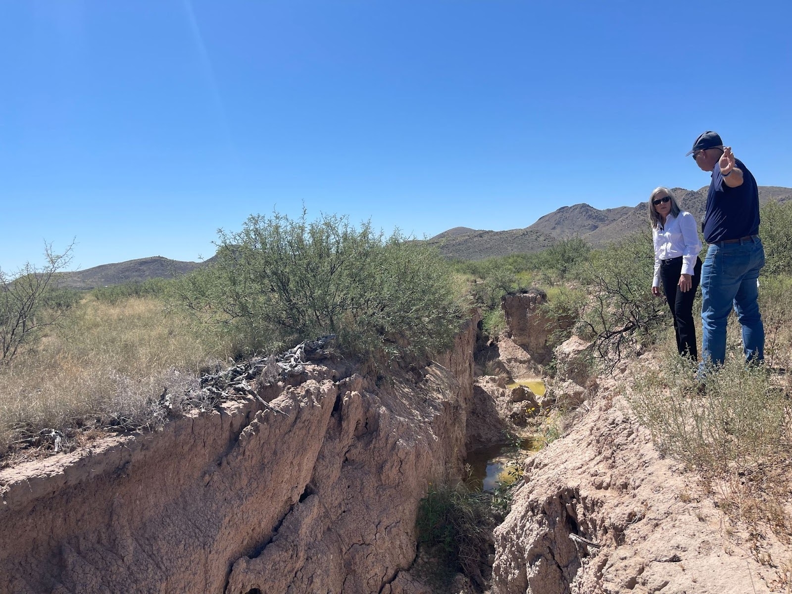 Gov. Hobbs viewing a fissure in Willcox area
