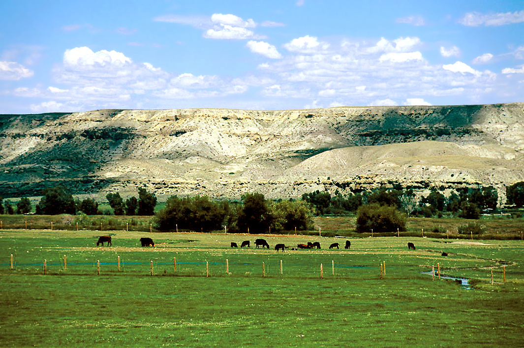 Wyoming plain