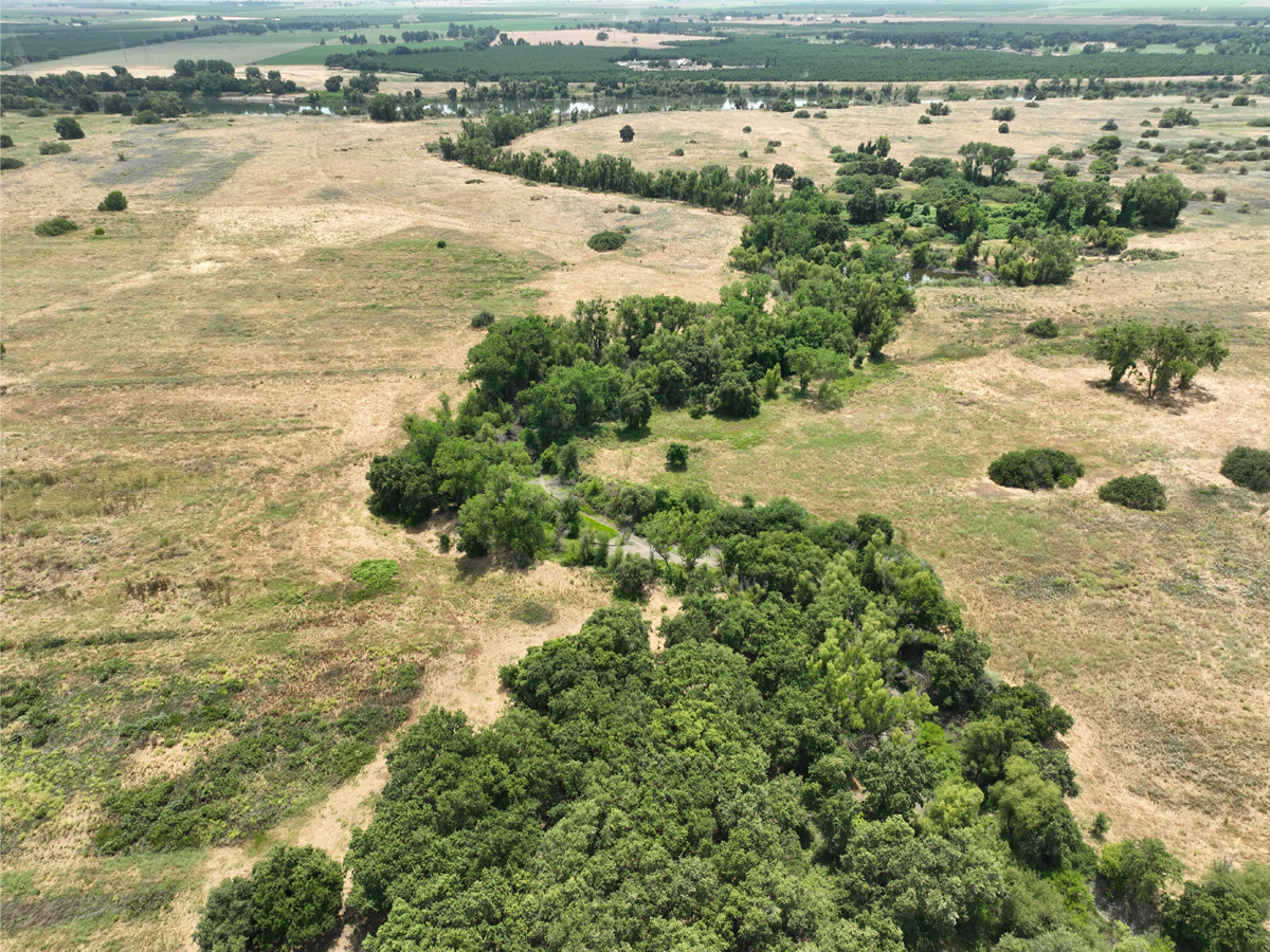 An area near the Feather River in Northern California where River Partners, with support from PepsiCo, is aiming to restore 150 acres of historic floodplains.