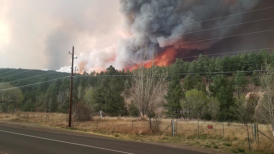 Western states prepare for severe wildfire season after record dry winter, with new funding, training, and fire mitigation plans underway.