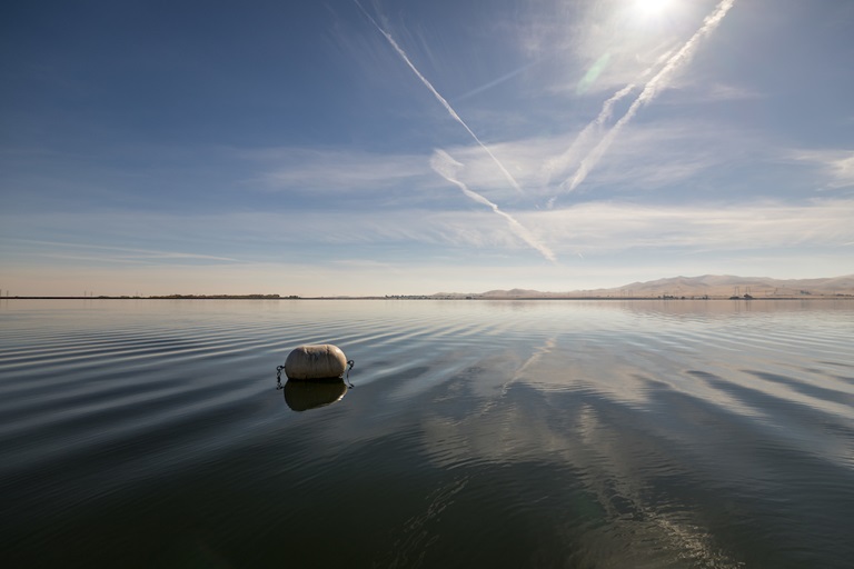 California cuts Delta water pumping to protect endangered fish as it explores a $2.6B plan for smarter, habitat-focused water management.