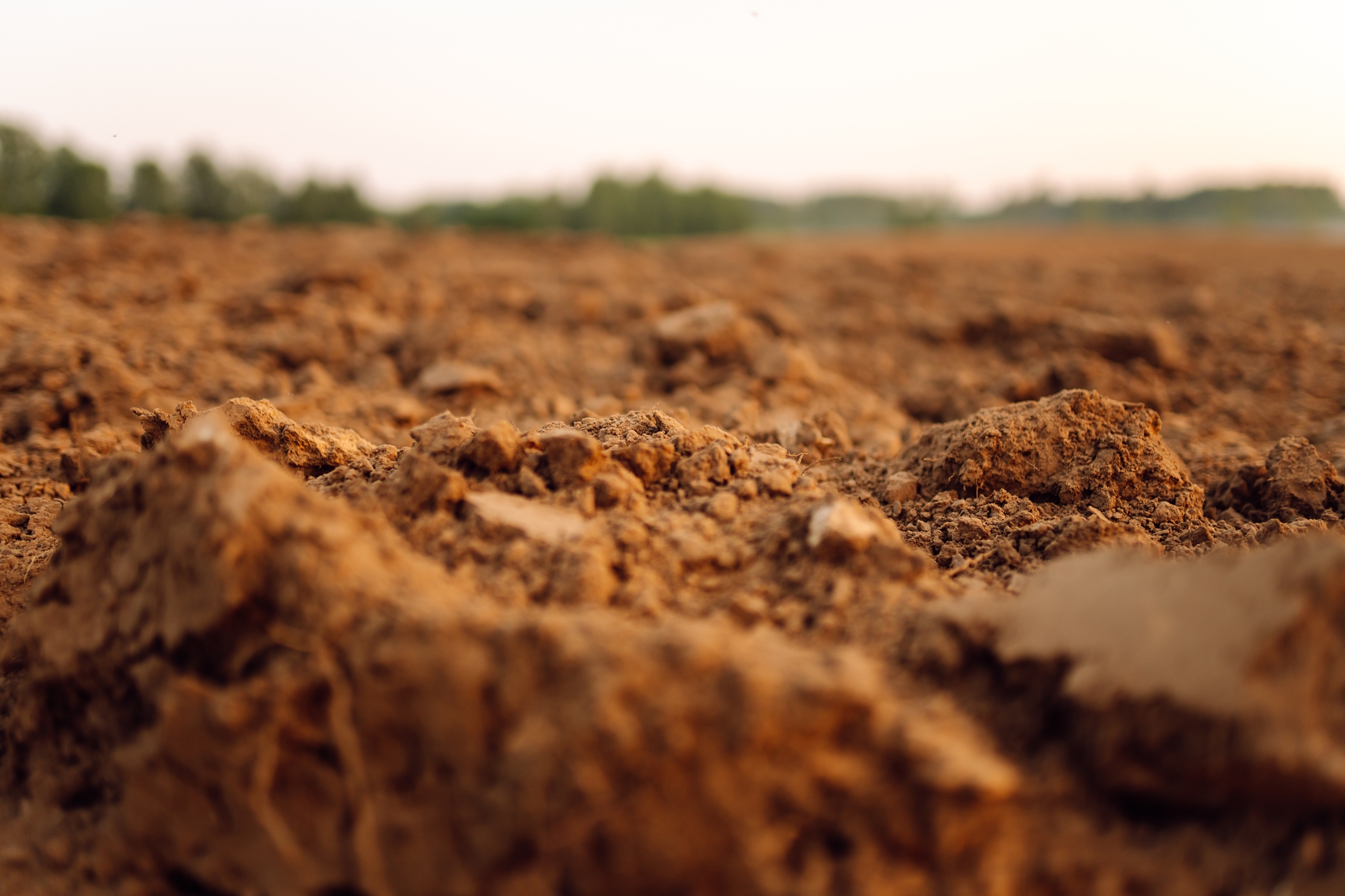 Dark, rich soil