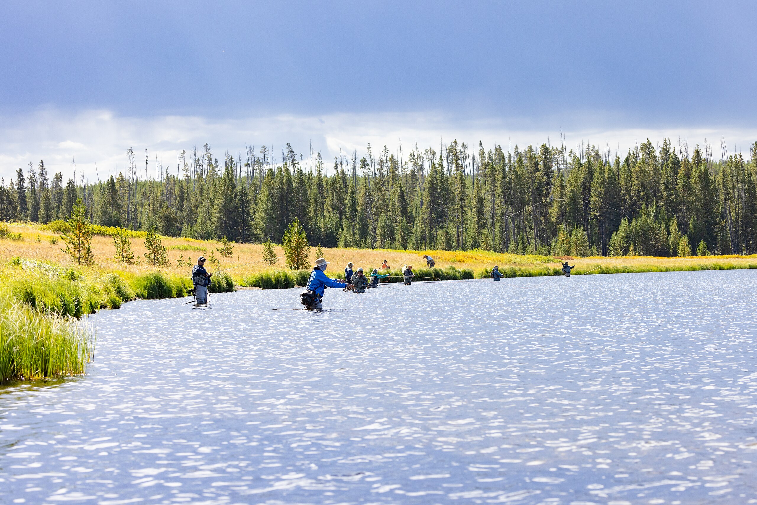 Fly fishing at Yellowstone. National Park Service public domain image.
