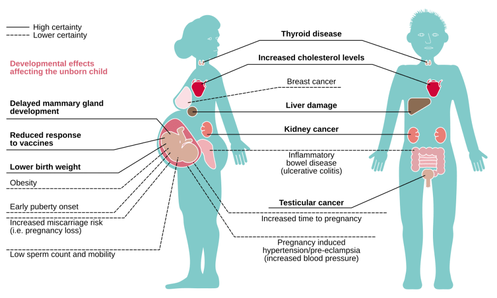 Effects of exposure to PFASs (per- and polyfluoroalkyl substances) on human health