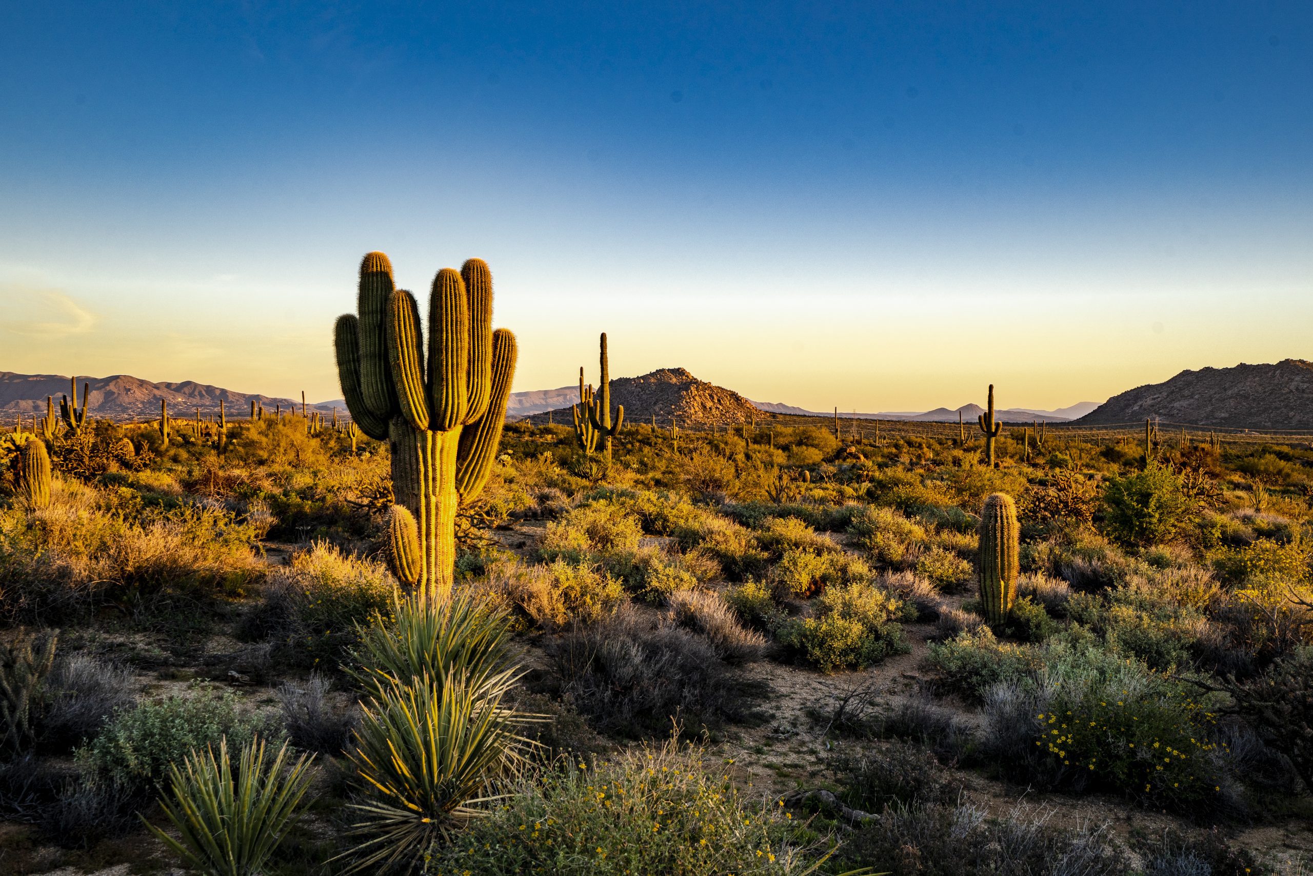 Arizona studies water import projects