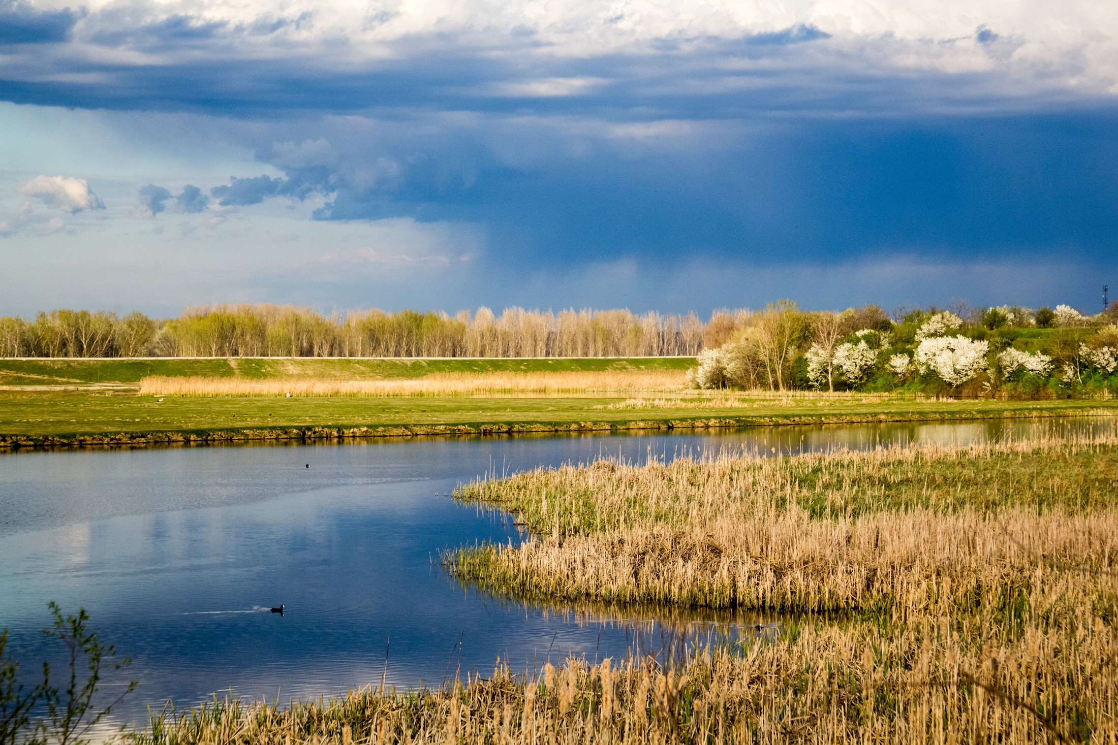 Wetlands are part of the waters of the US