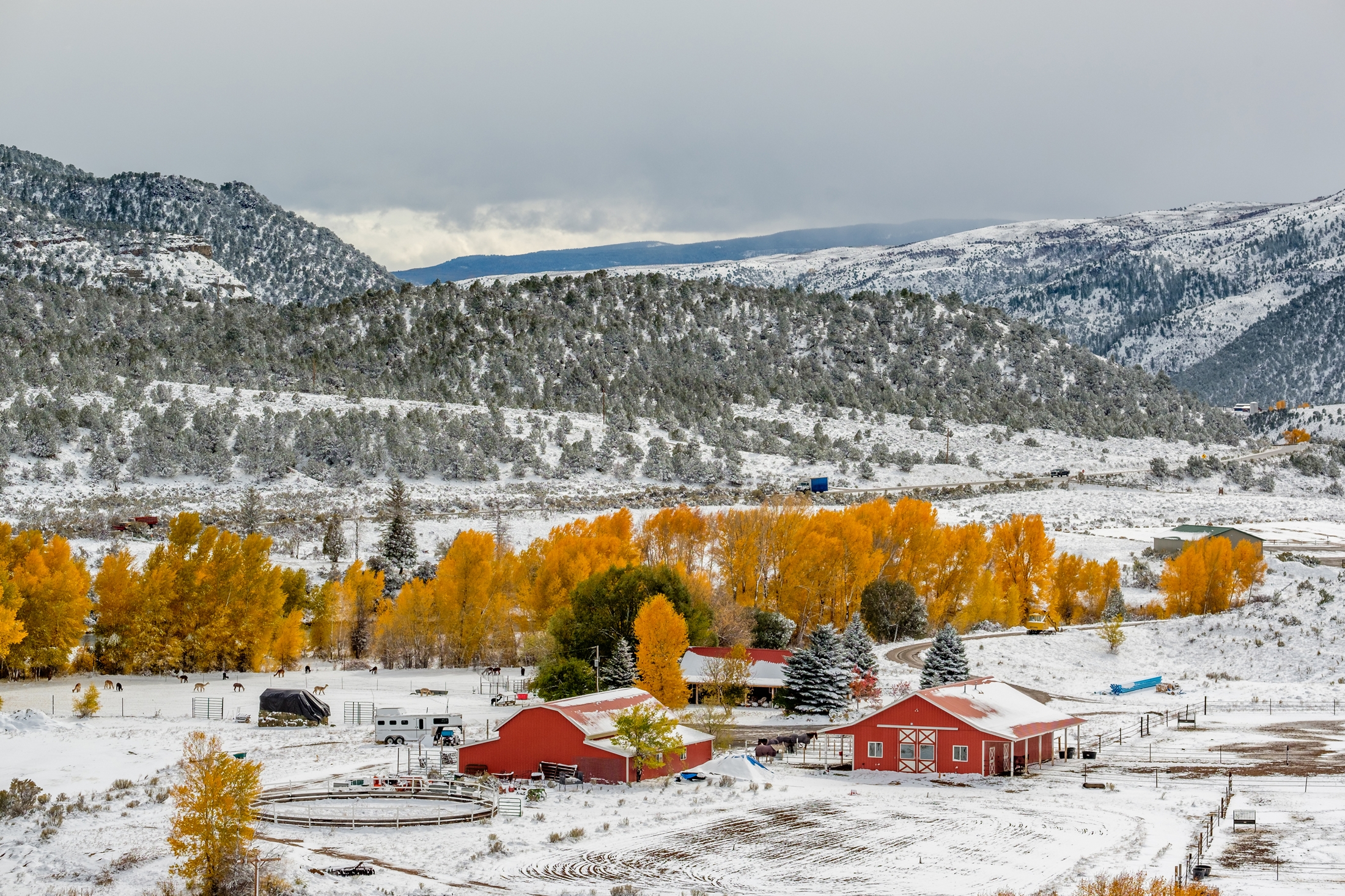 A snowy scene in the Western high country