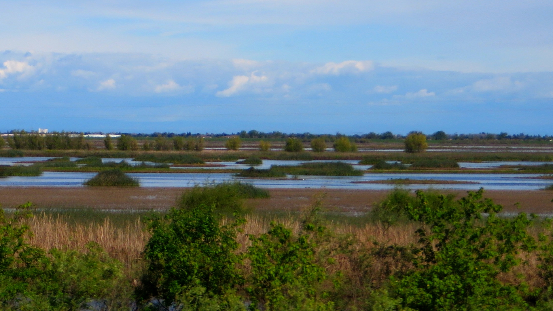 The Yolo Bypass Near Davis, California - Nevada Irrigation District