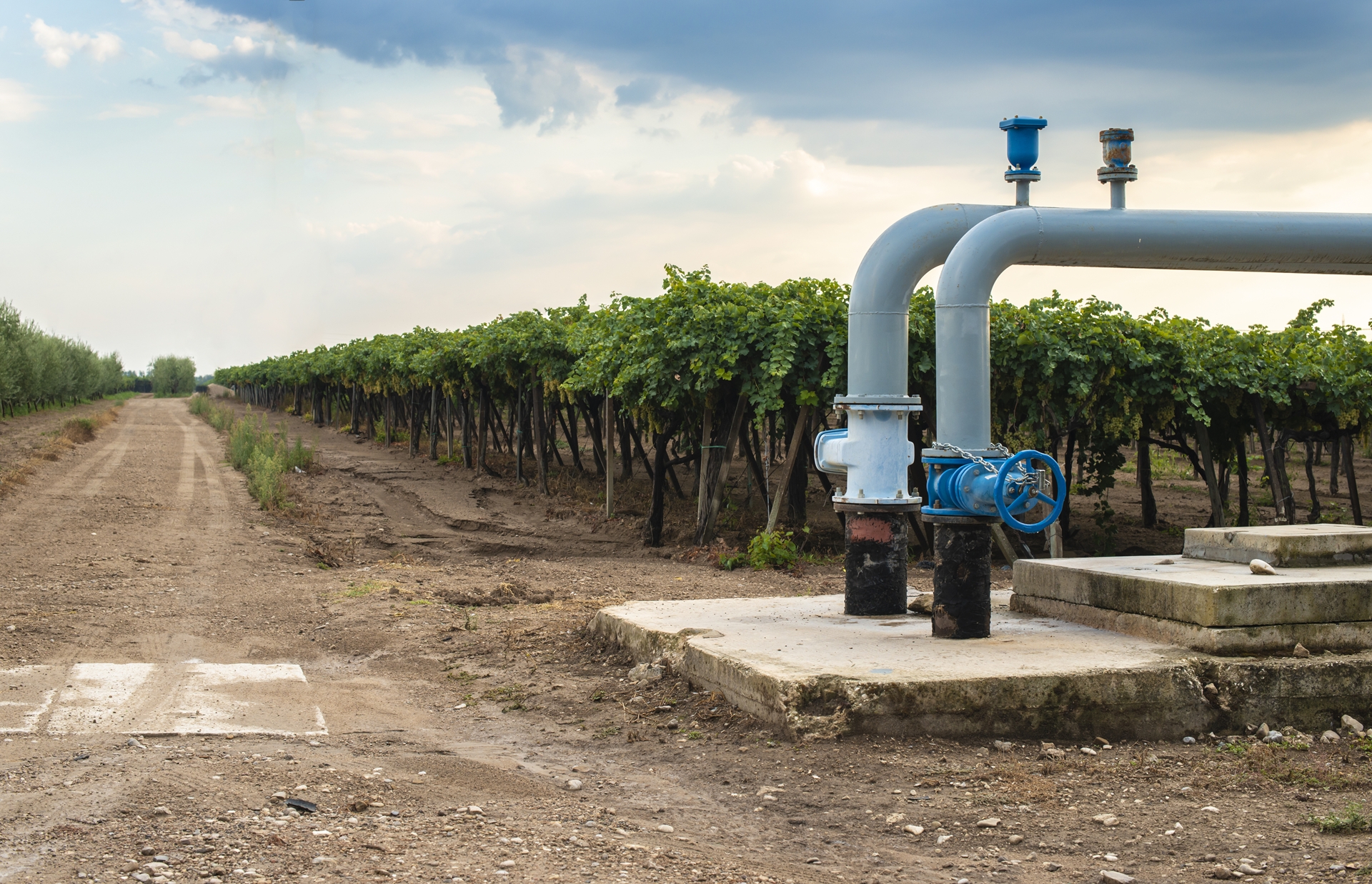 Groundwater piping at vineyard