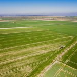 Central Valley Project cutbacks hurt farmers