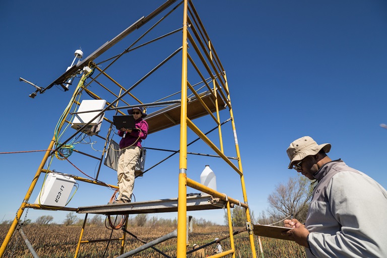 Pilot program at California's Delta incorporates Indigenous practices