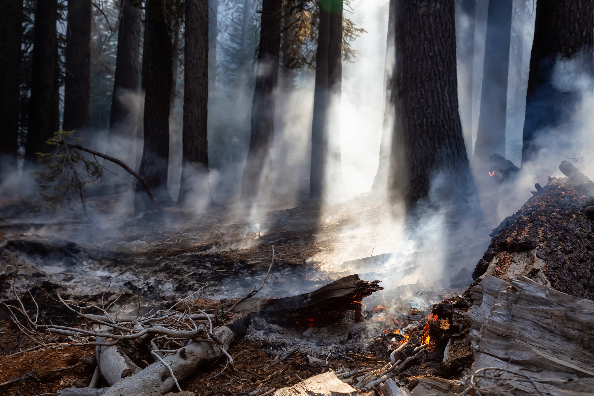 A wildfire in California