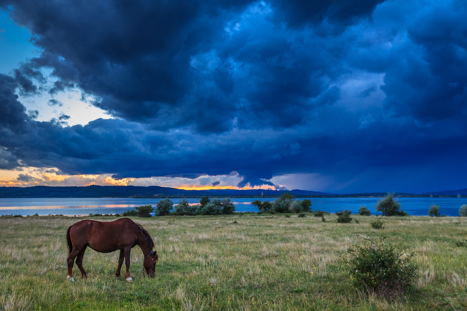A horse grazes as a monsoon approaches