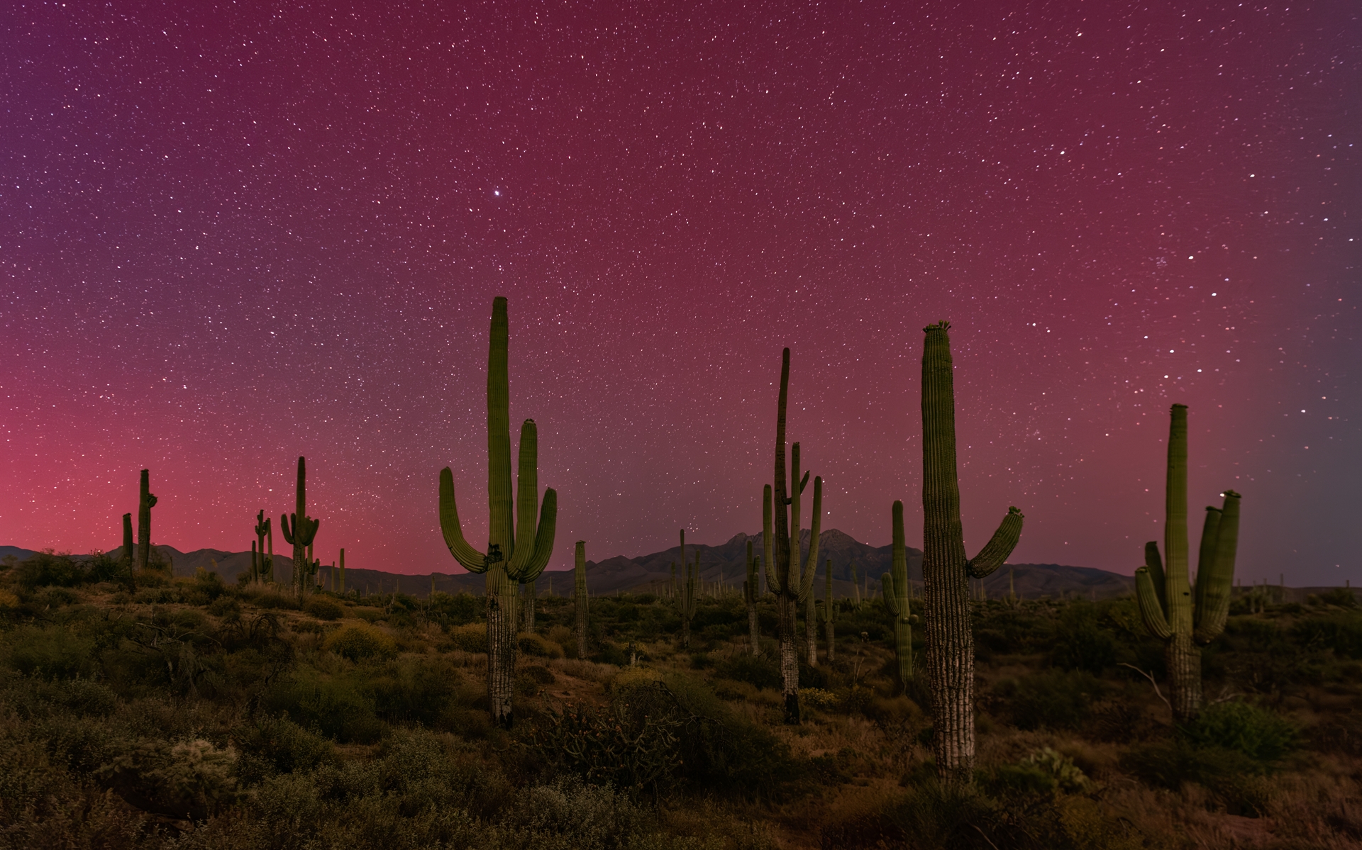 The Arizona desert - drought may continue in state