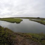 Tijuana River Border Field State Park