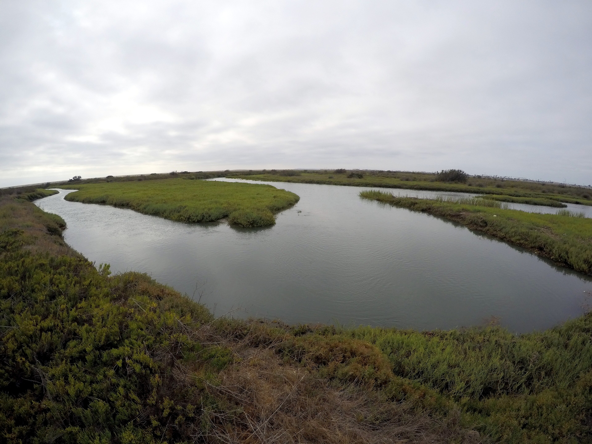 Tijuana River Border Field State Park