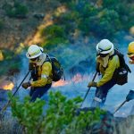 Firefights battle wildfire