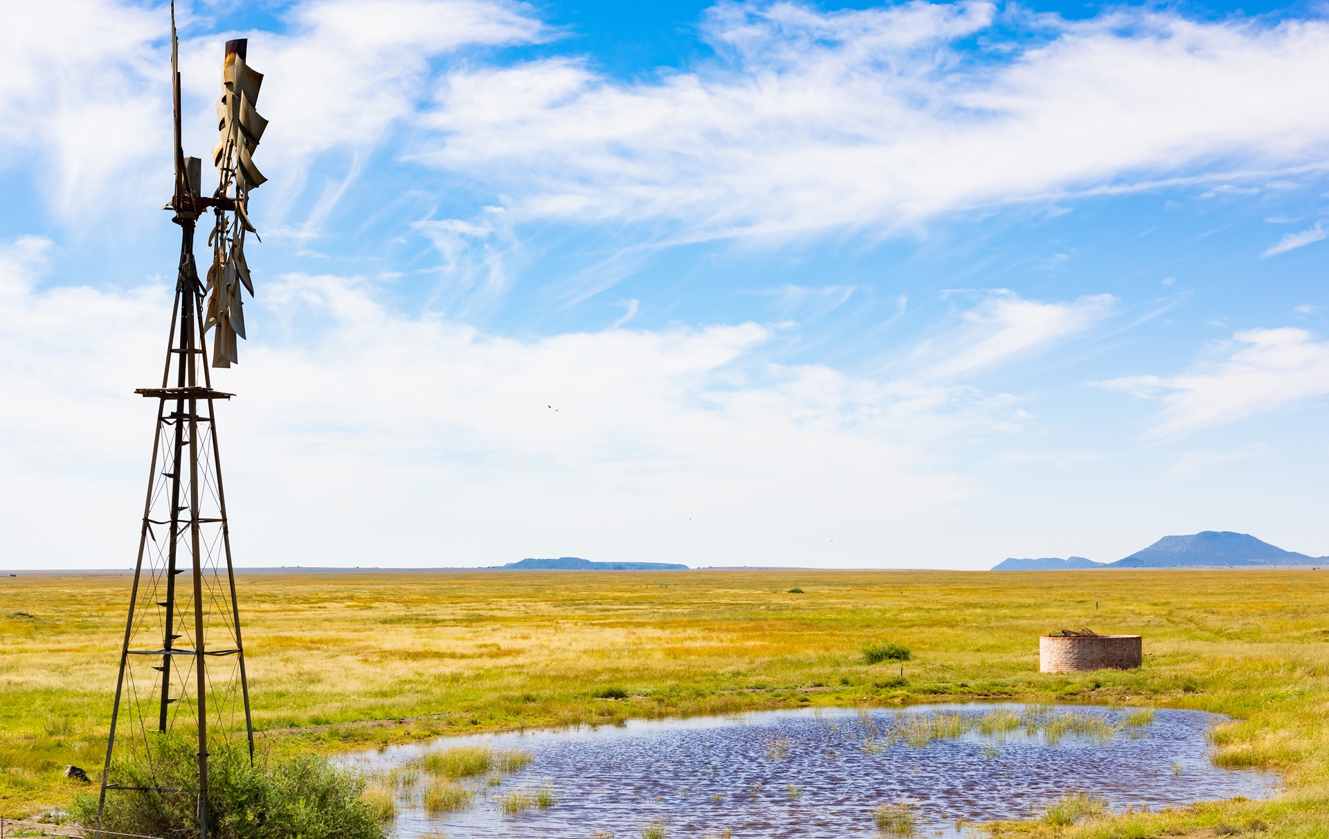Western grazing scene: a groundwater windmill and small stockpond