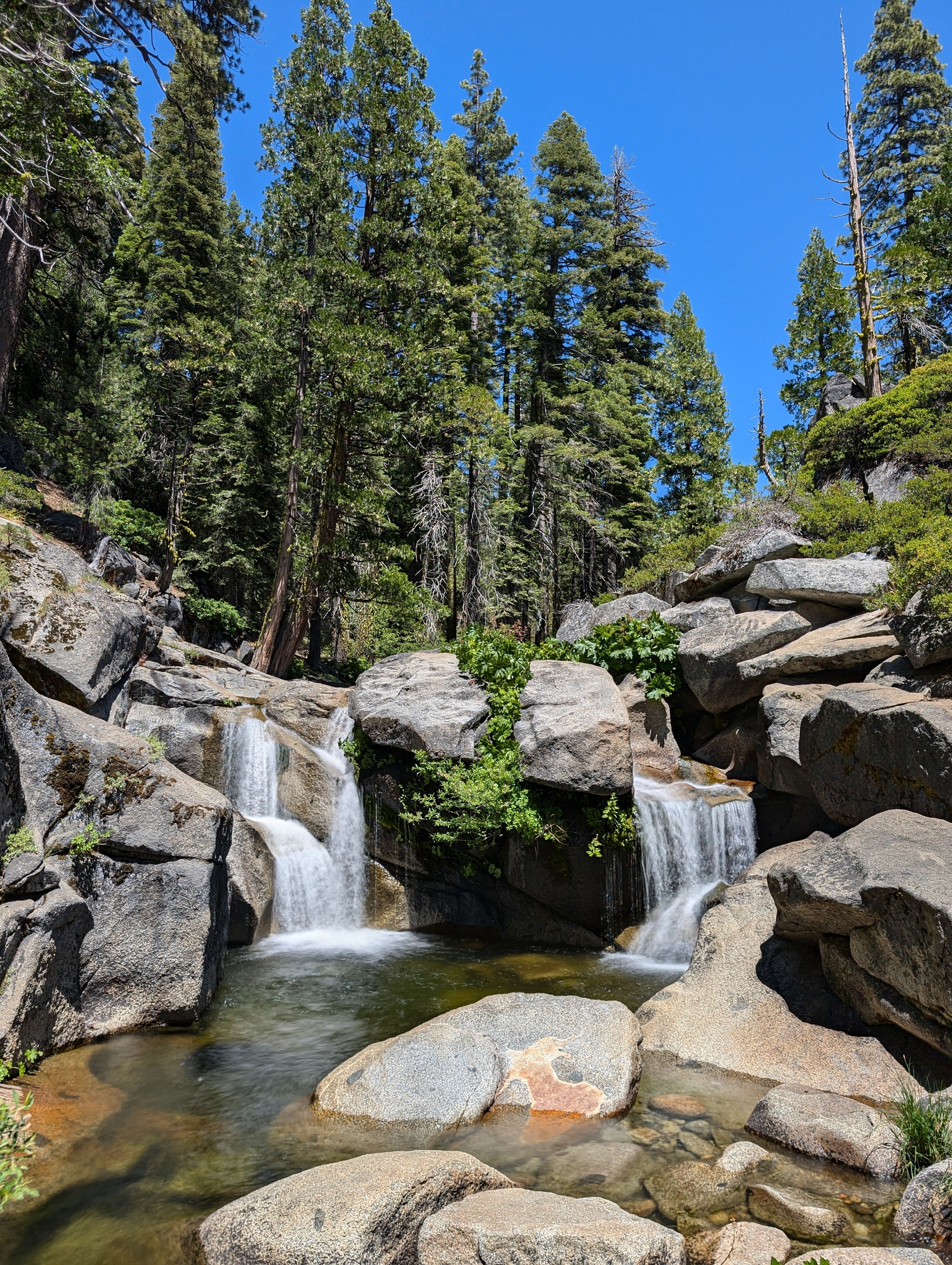 A small waterfall and pool ina mountain forest