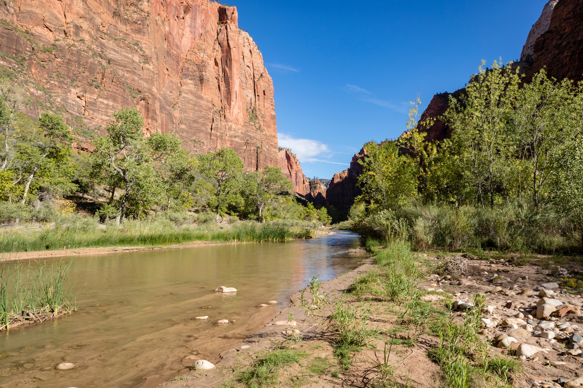 A stream in Zion National Park