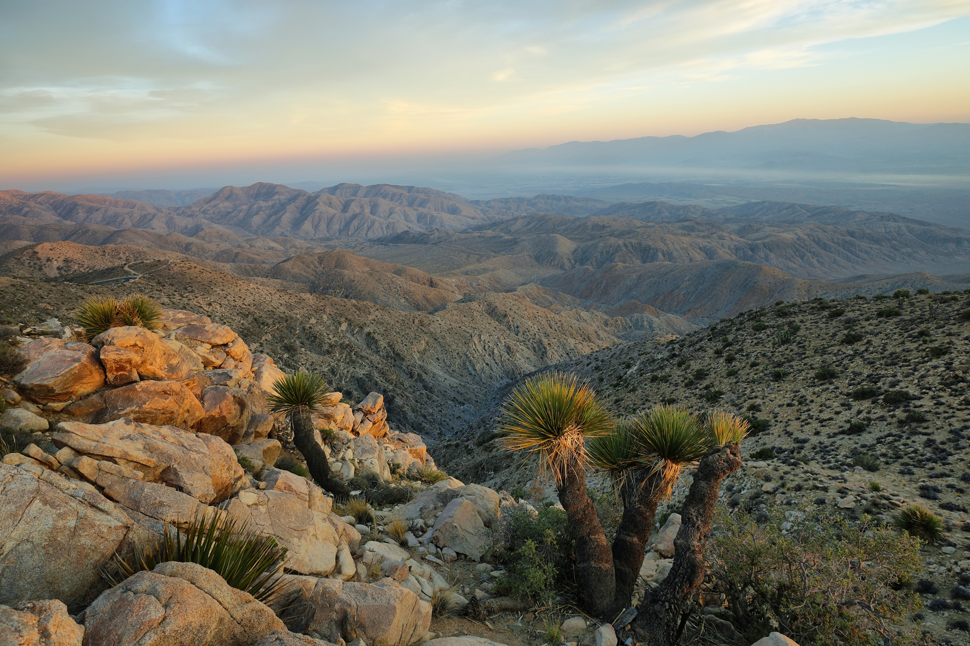 Mojave Desert