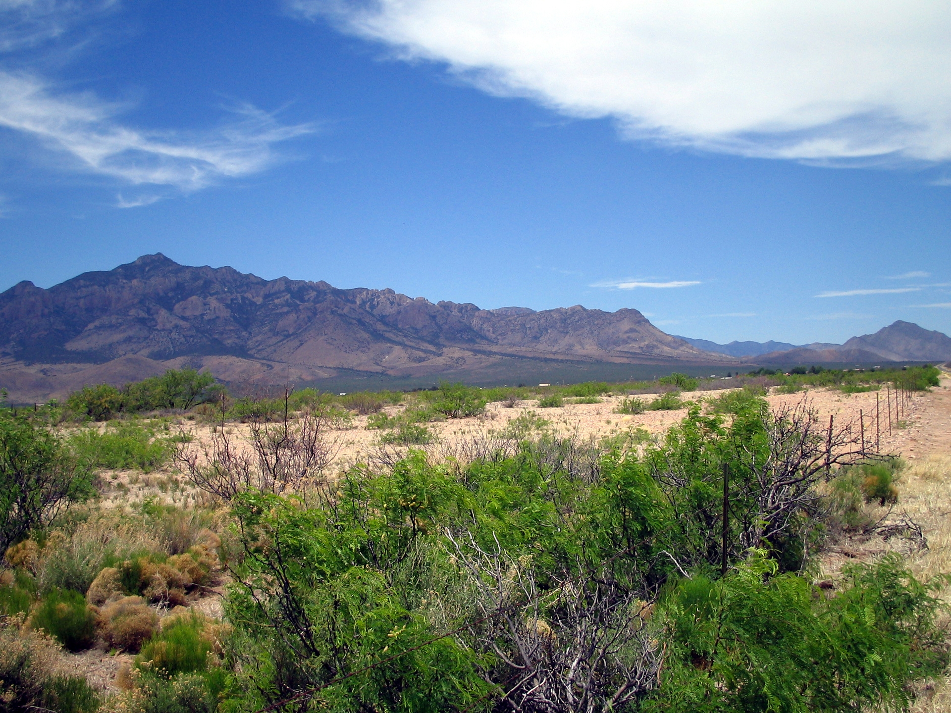 San Simon Sub-Basin; Chiricahua Mountains near Portal
