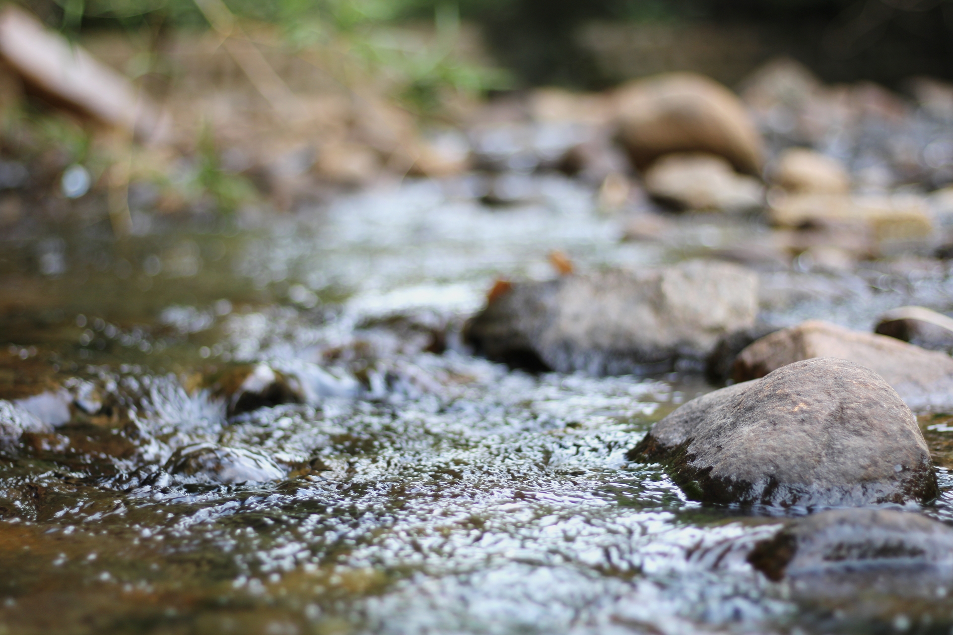 waters of the US -- a mountain stream