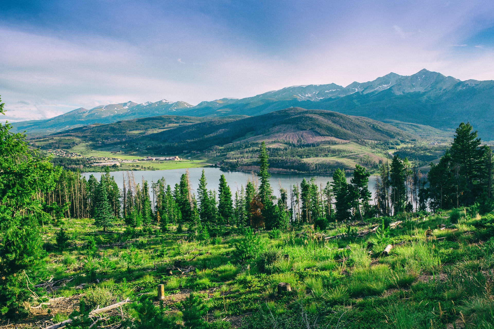 Colorado water and forest scenery