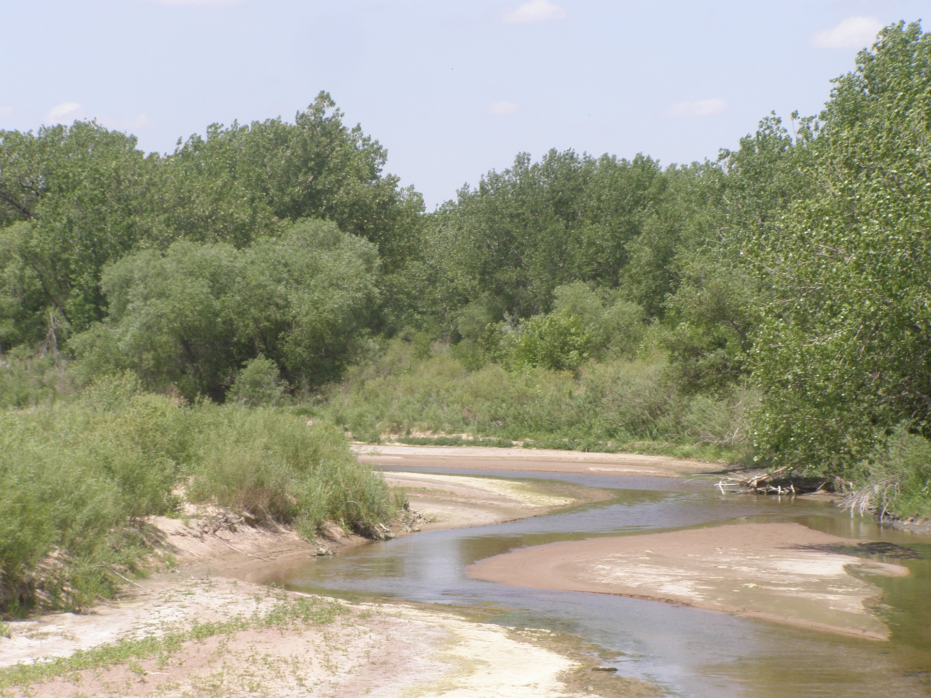 The South Platte River at Ovid Crossing, Colorado