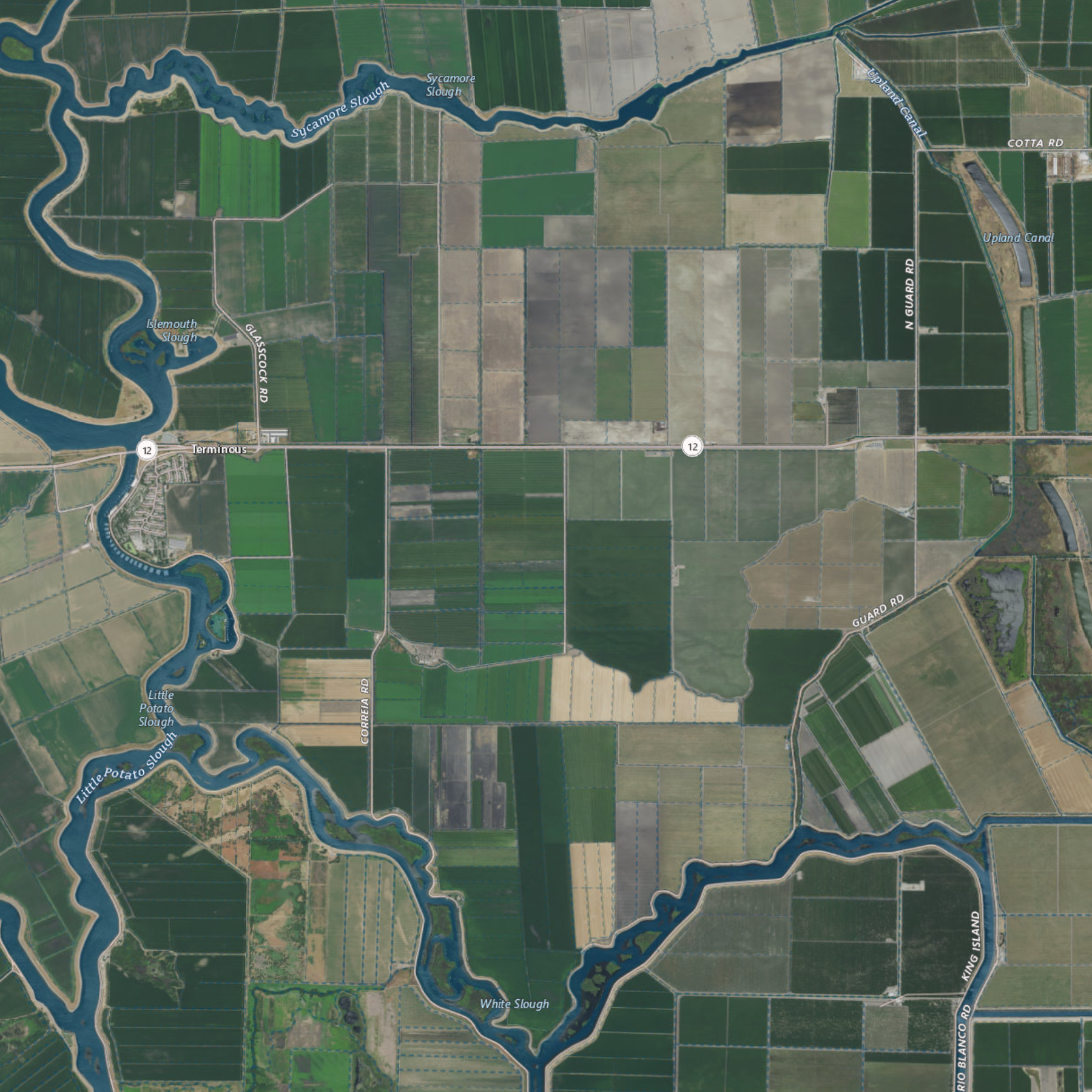 NASA-USGS imagery of the Delta area